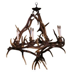 Antique Early 20th Century French  Six-Light Deer Antler Horn Chandelier