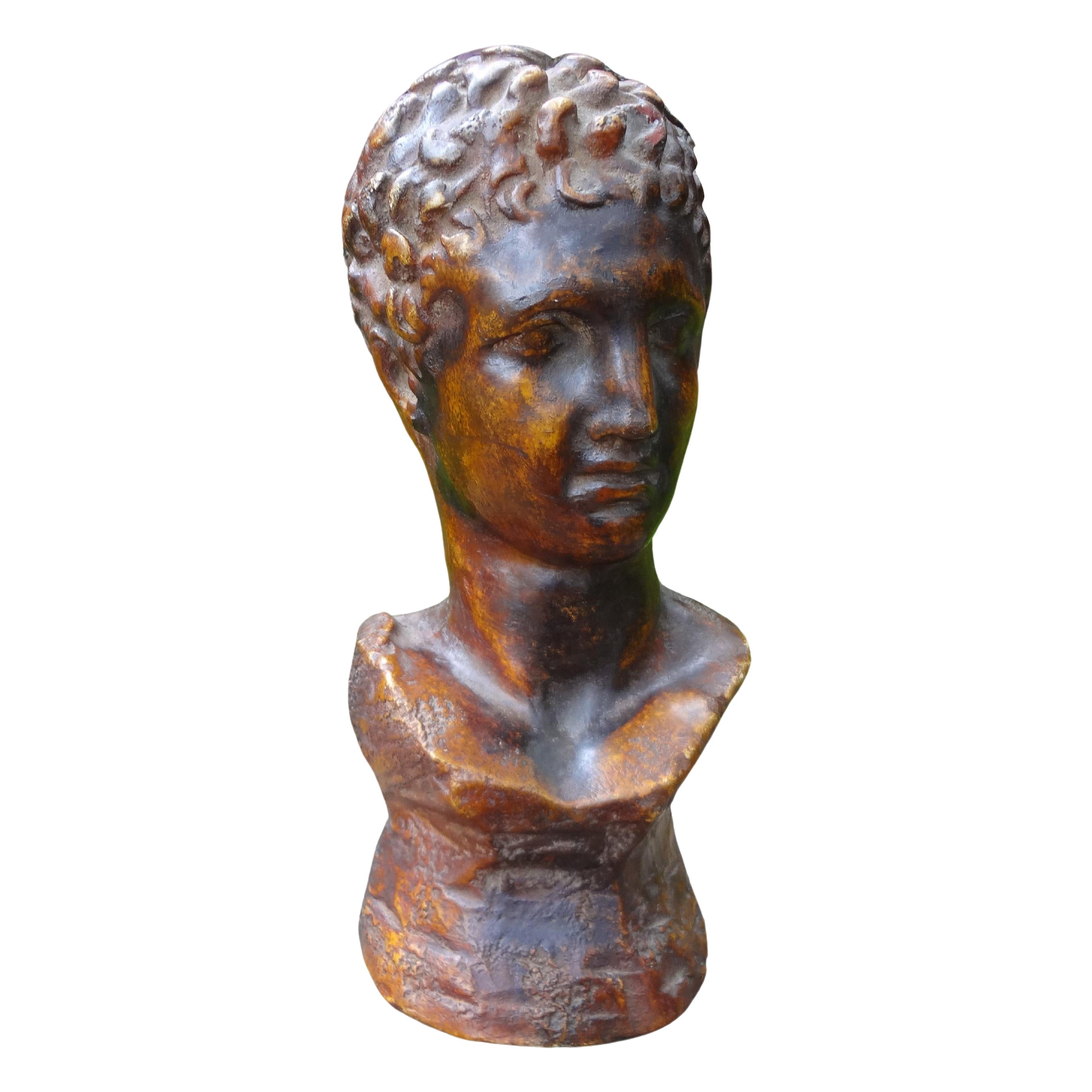 French Patinated Bust Sculpture Of A Classical Male For Sale