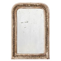 19th Century French Wood Patinated Mirror