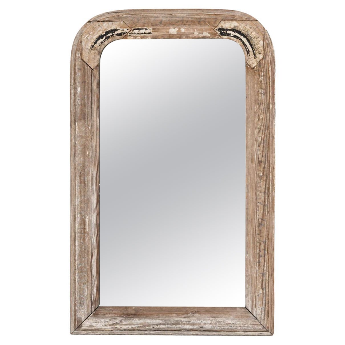 19th Century French Wood Patinated Mirror