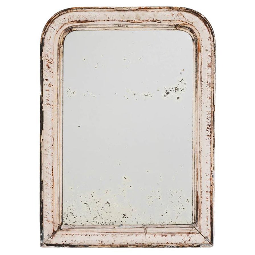 19th Century French Wood Patinated Mirror