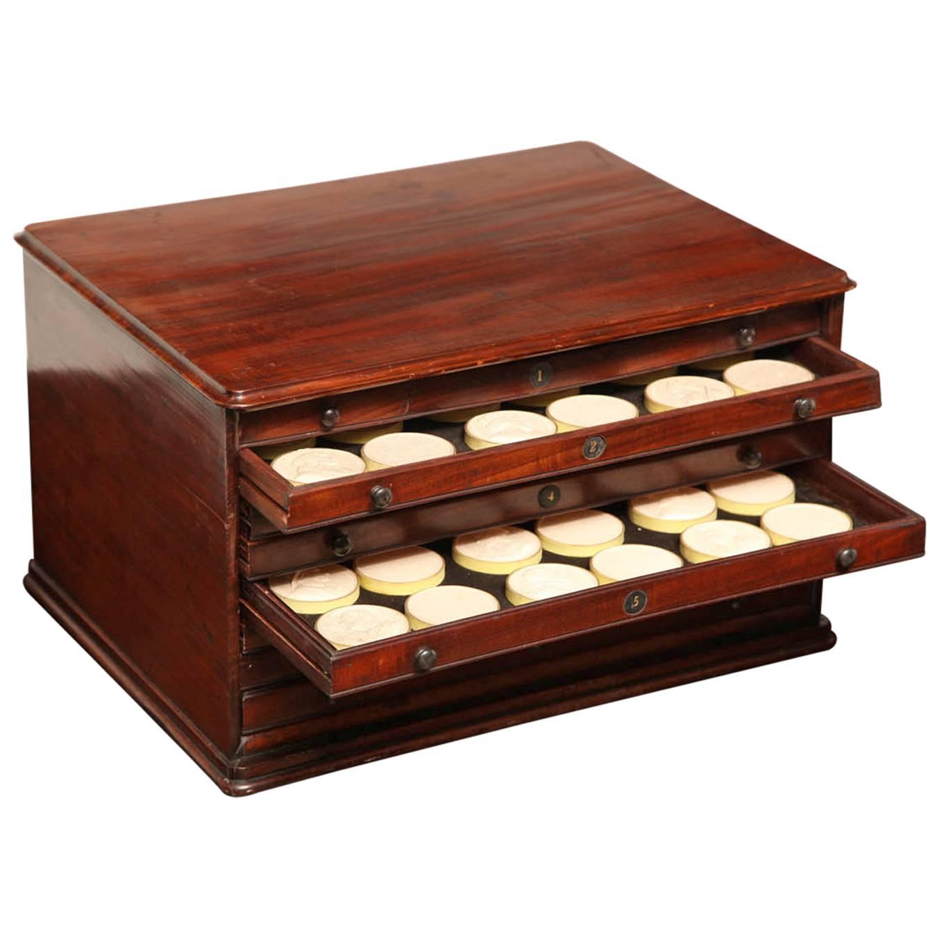 19th Century Eight-Drawer Box of Plaster Seals For Sale