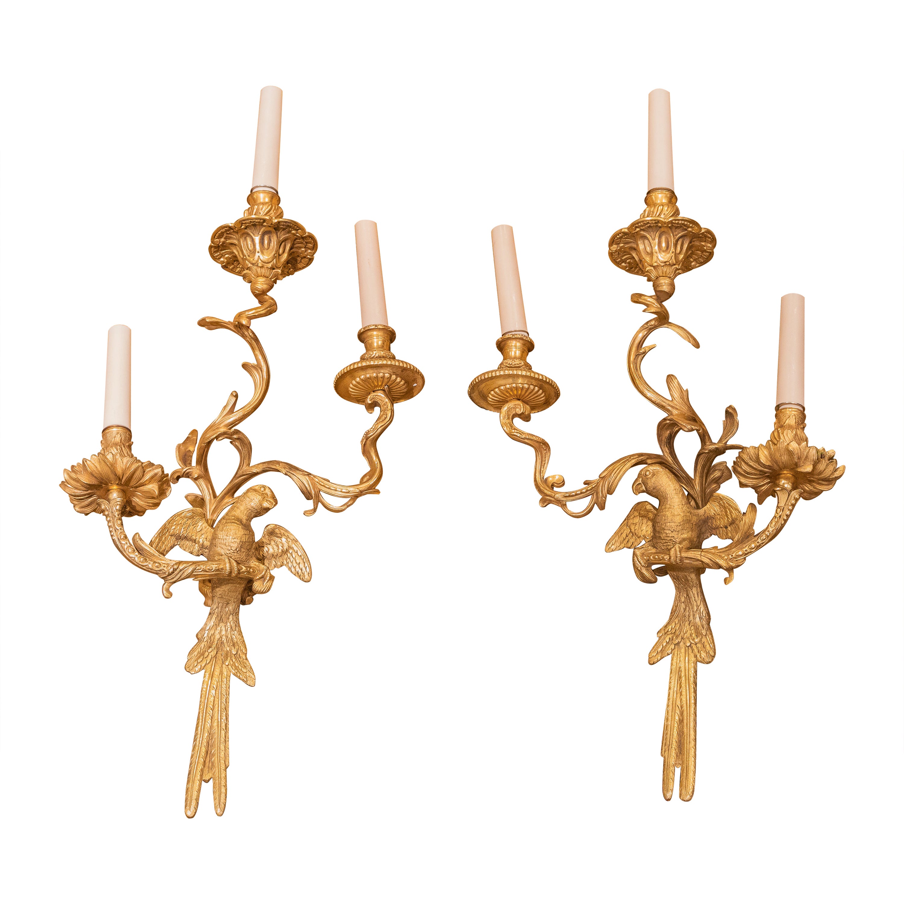 A fine pair of Lete 19th century French Louis XV gilt bronze parrot sconces 