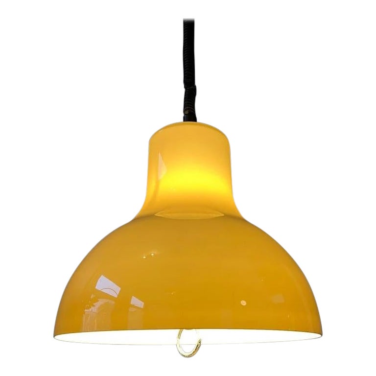 Big Acrylic Glass Space Age Pendant Light, 1970s For Sale