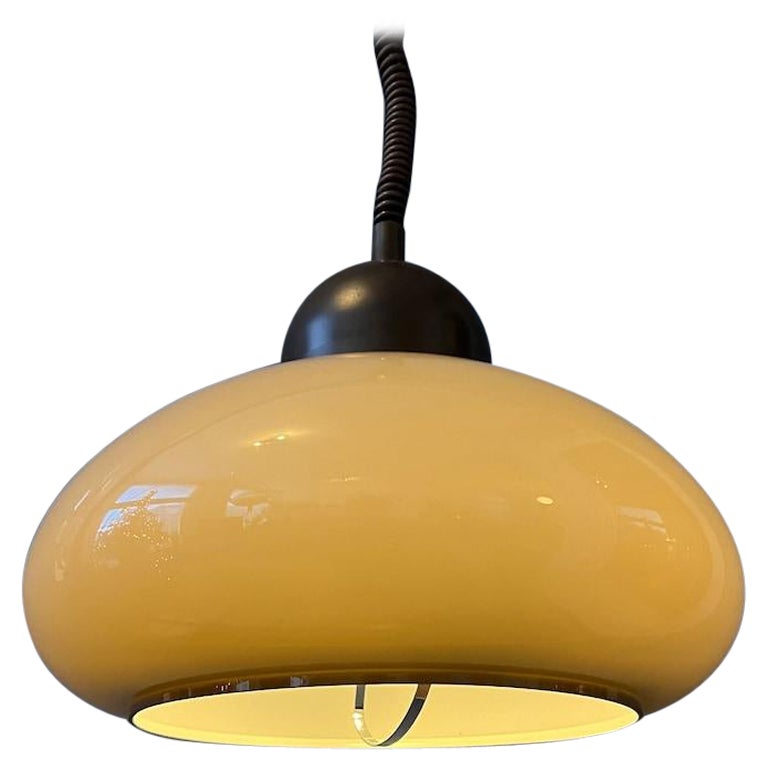 Acrylic Glass Space Age Mushroom Pendant Lamp by Dijkstra, 1970s For Sale