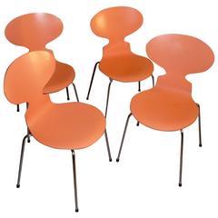 Vintage Set of Four Ant Chairs, Designed by Arne Jacobsen, Model with Four Legs FH3101