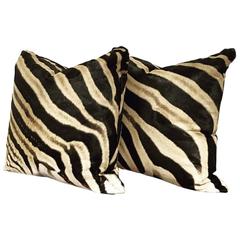 Pair of Square Double-Sided Zebra Hide Pillows