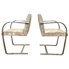 One of a Kind Brno Chairs by Mies van der Rohe in Brazilian Cowhide - Pair
