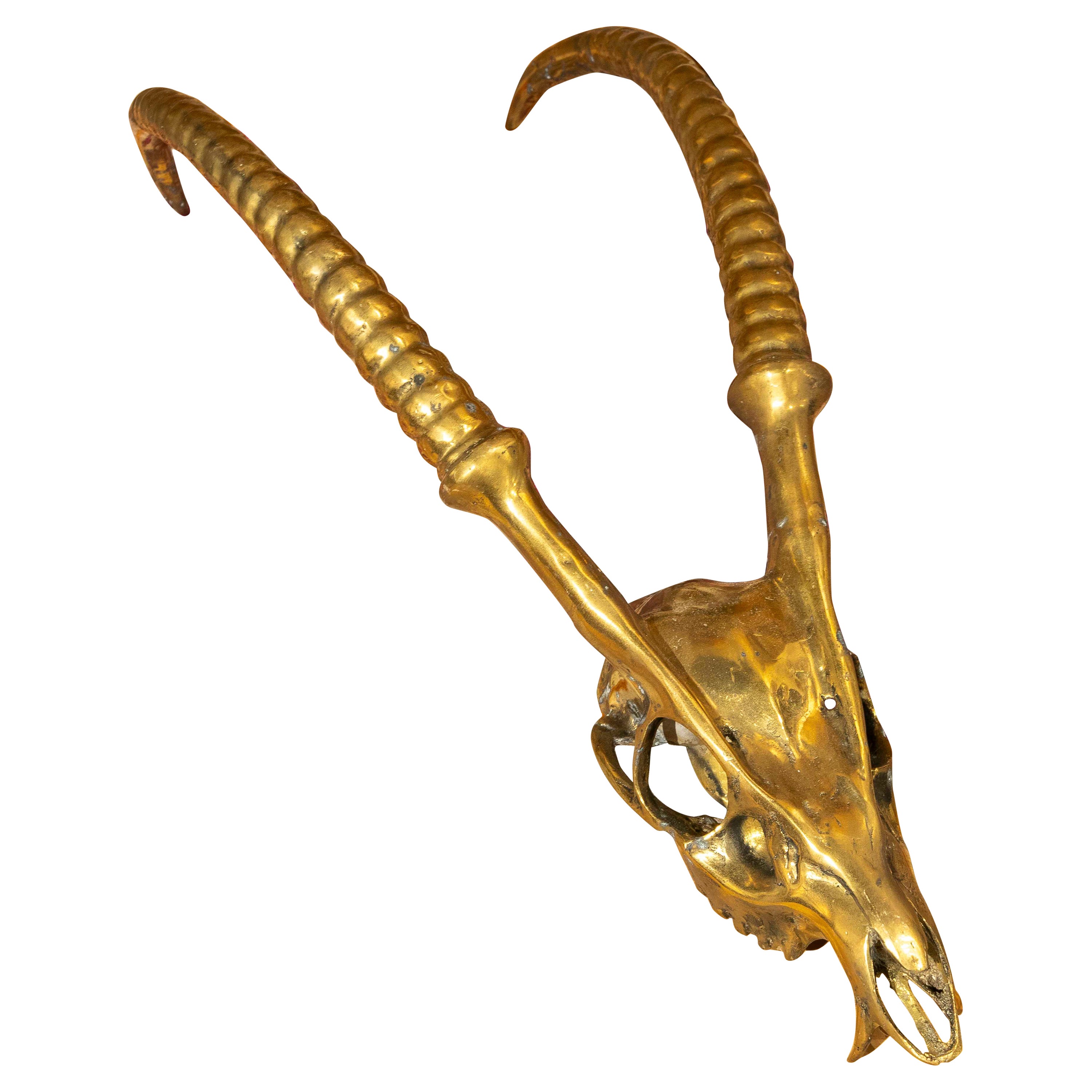 Skulptur eines Tiergeweihs aus vergoldeter Bronze im Angebot