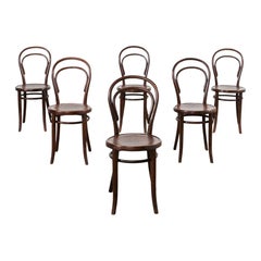Satz von sechs Thonet Nr. 14 Bugholz-Bistrostühlen mit Label