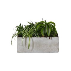 Mid-Century Willy Guhl Style Square Concrete Planter