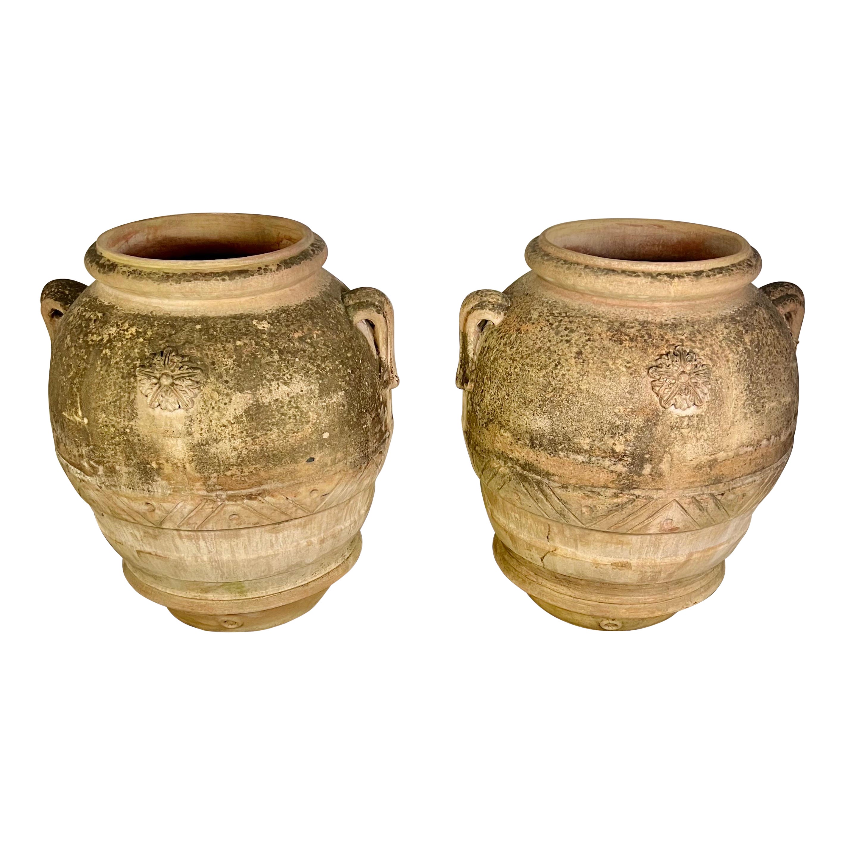 Monumental Pair of Italian Terracotta Planters Signed "Galestro" For Sale
