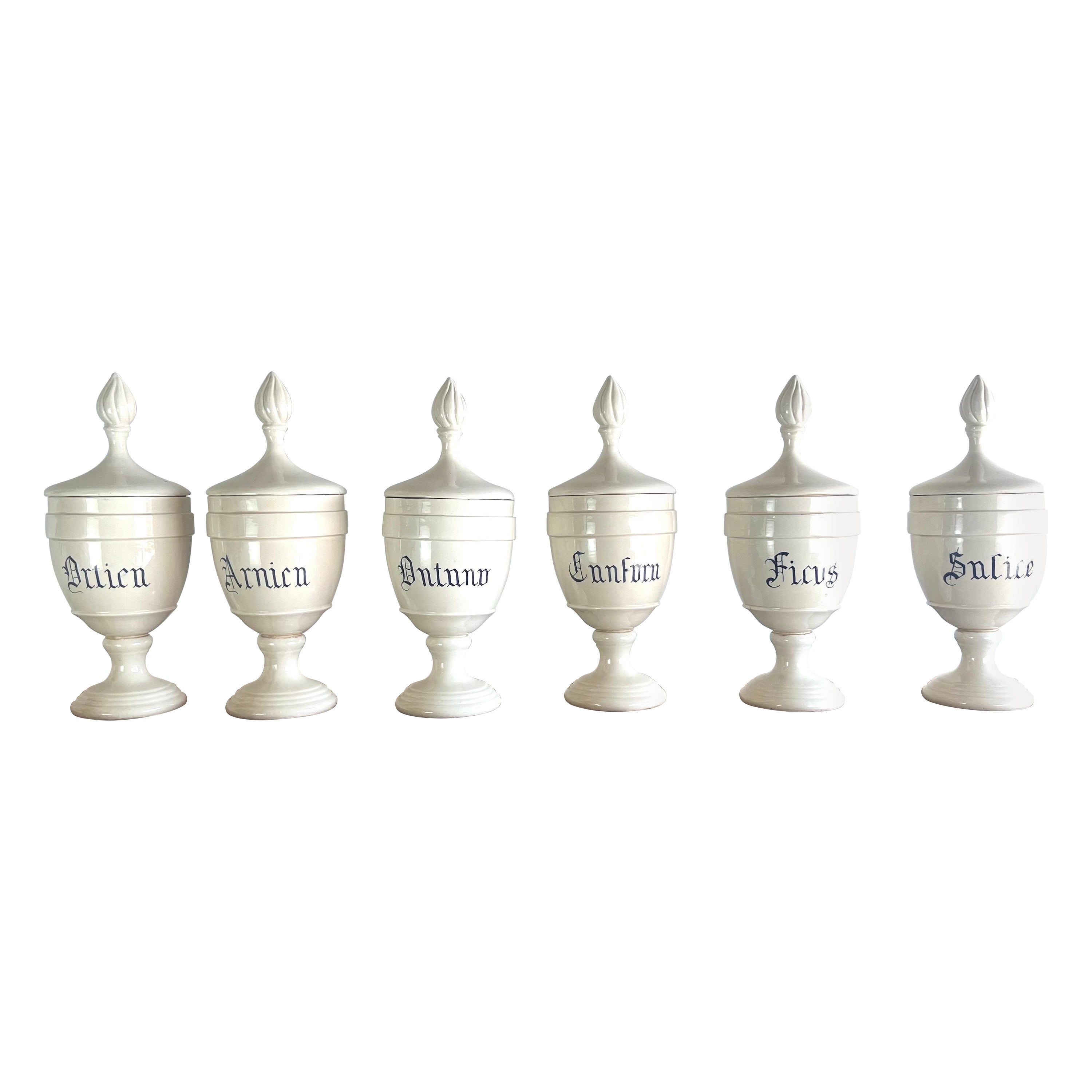 Set of Six Apothecary Jars w/ Lids For Sale