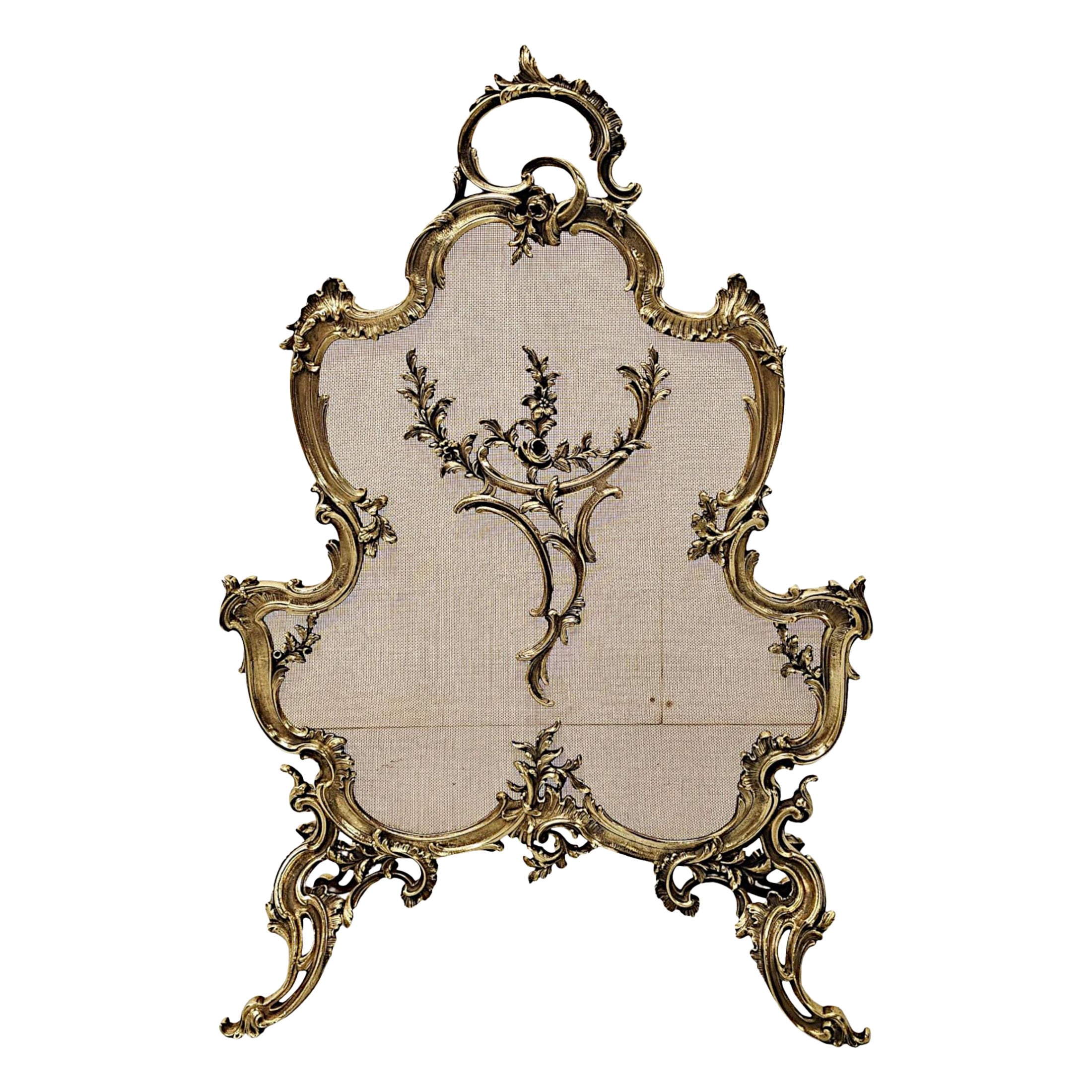 A Fabulous 19th Century Brass Fire Screen in the Rococo Manner For Sale