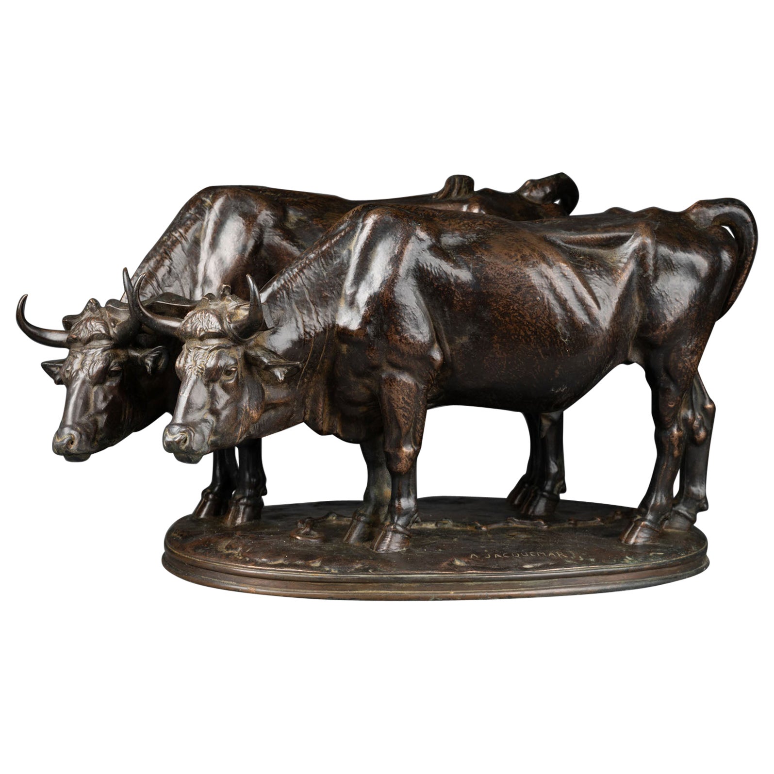 Alfred Jacquemart : « Harnessed oxen », sculpture en bronze coulé de F.Barbedienne, XIXe siècle en vente