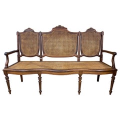 Antique 19th c Brazilian Hardwood Settee with Caned Seat and Back