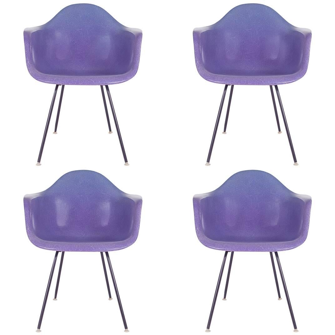 Rare Purple Fiberglass Chairs Charles Eames for Herman Miller