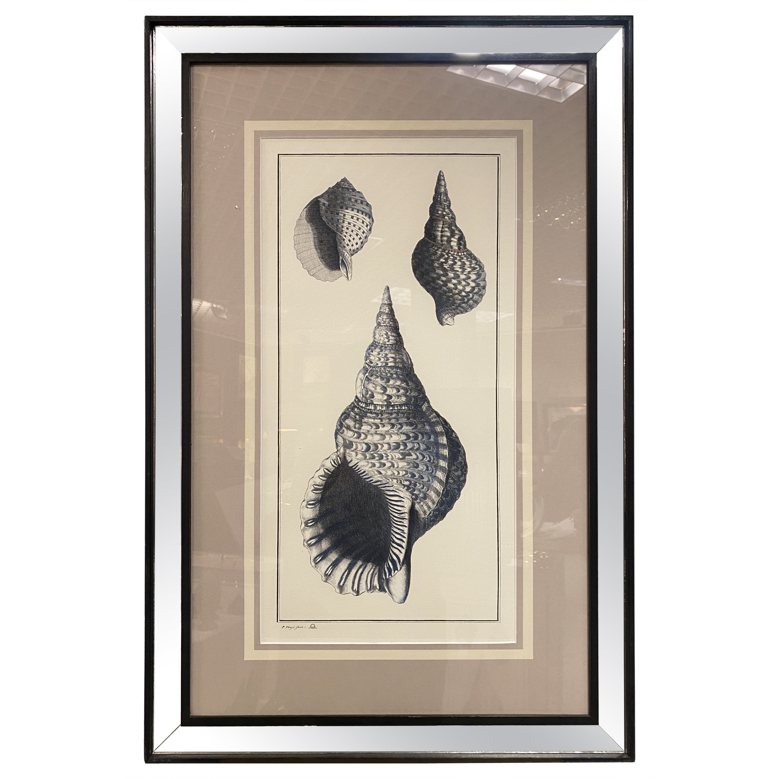 Italian Contemporary Botanical Black Print "Shell" Black Mirror Wood Frame For Sale