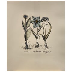 Impression Botanique Bleue Peinte à la Main Contemporaine Italienne "Tulipa - Allium" 3 de 6