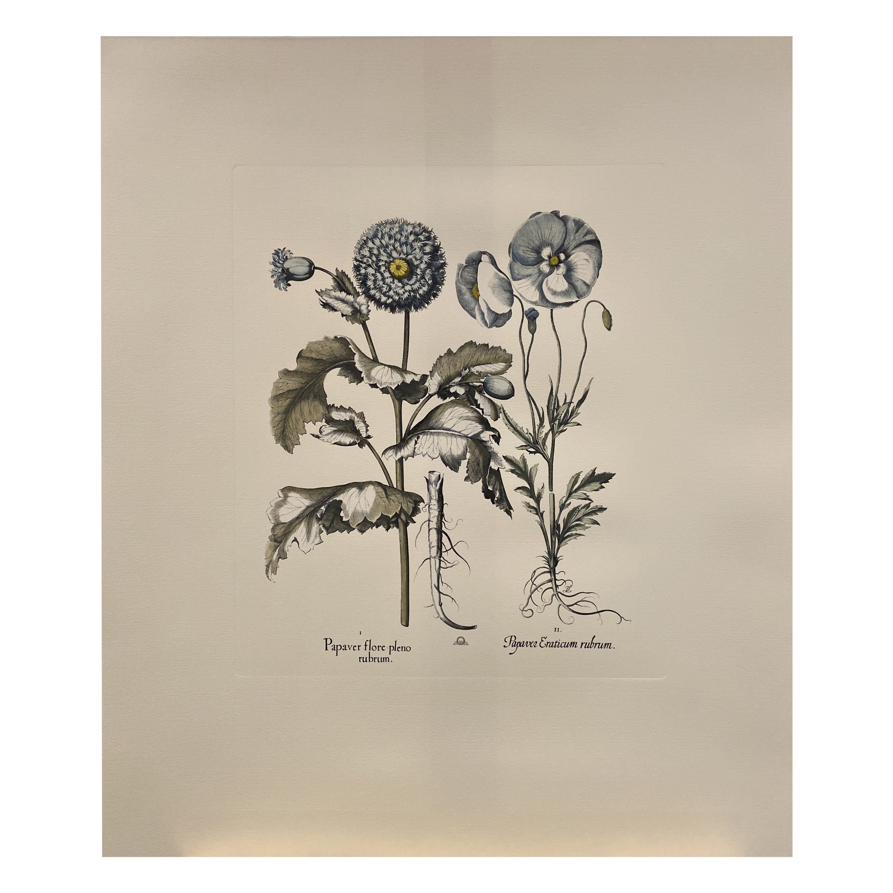 Italian Contemporary Hand Painted Botanical Blue Print "Papaver" 4 of 6 For Sale