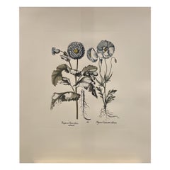 Impression botanique bleue peinte à la main et contemporaine italienne "Papaver" 4 de 6