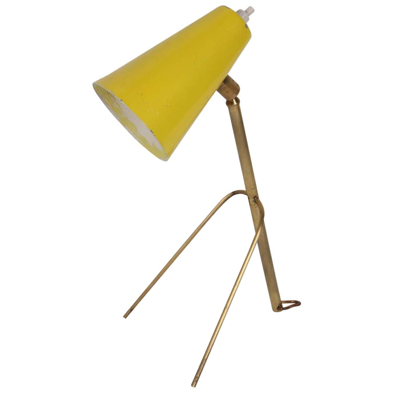 French Cocotte 1950s Brass and Painted Metal Table Lamp, Also Hangs as a Sconce For Sale