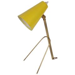 French Cocotte 1950s Brass and Painted Metal Table Lamp, Also Hangs as a Sconce