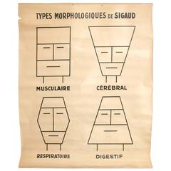 Large Early 20th Century French Morphopsychology Chart