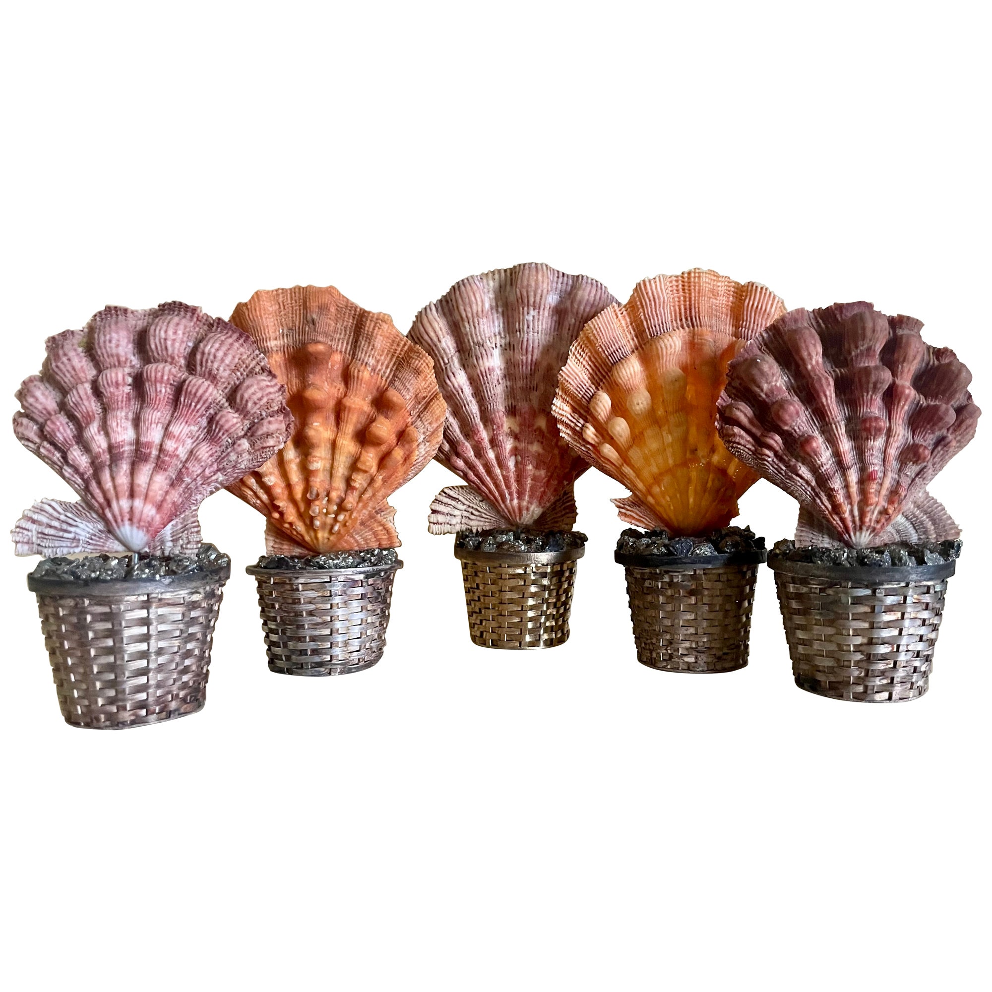 Ensemble de cinq coquillages ornementaux dans des paniers en argent mexicain en vente