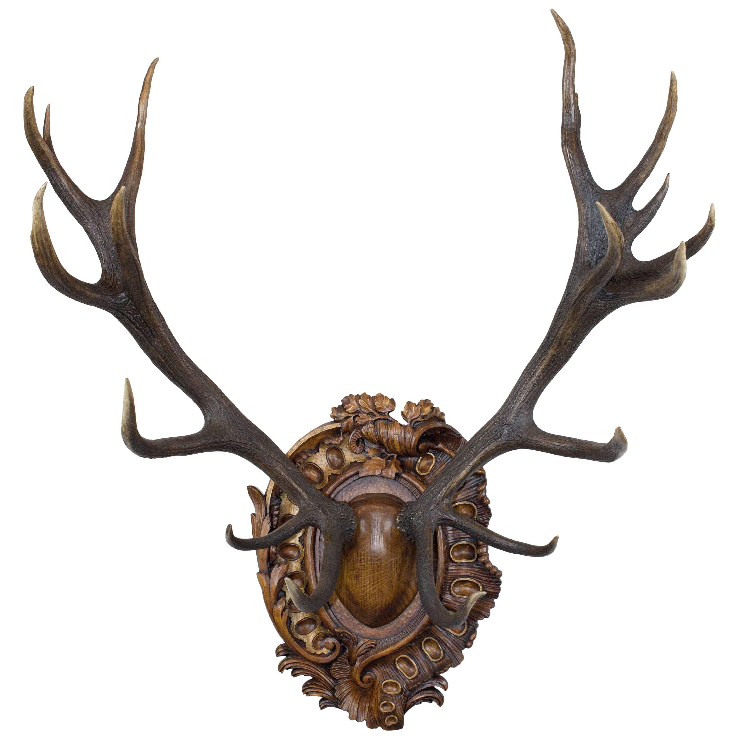 19th Century Habsburg Red Stag on Hand-Carved Rococo Style Plaque