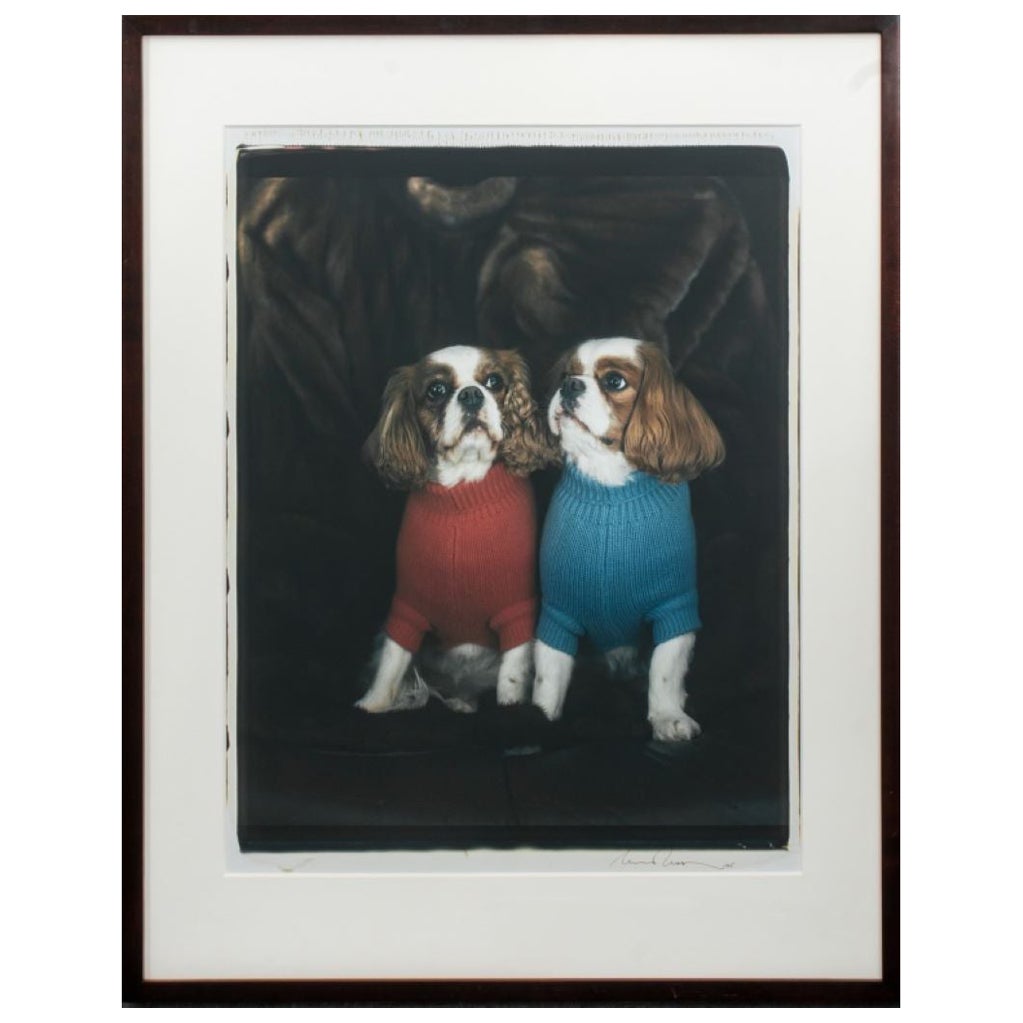 William Wegman "Spaniels" Photograph 2005 For Sale