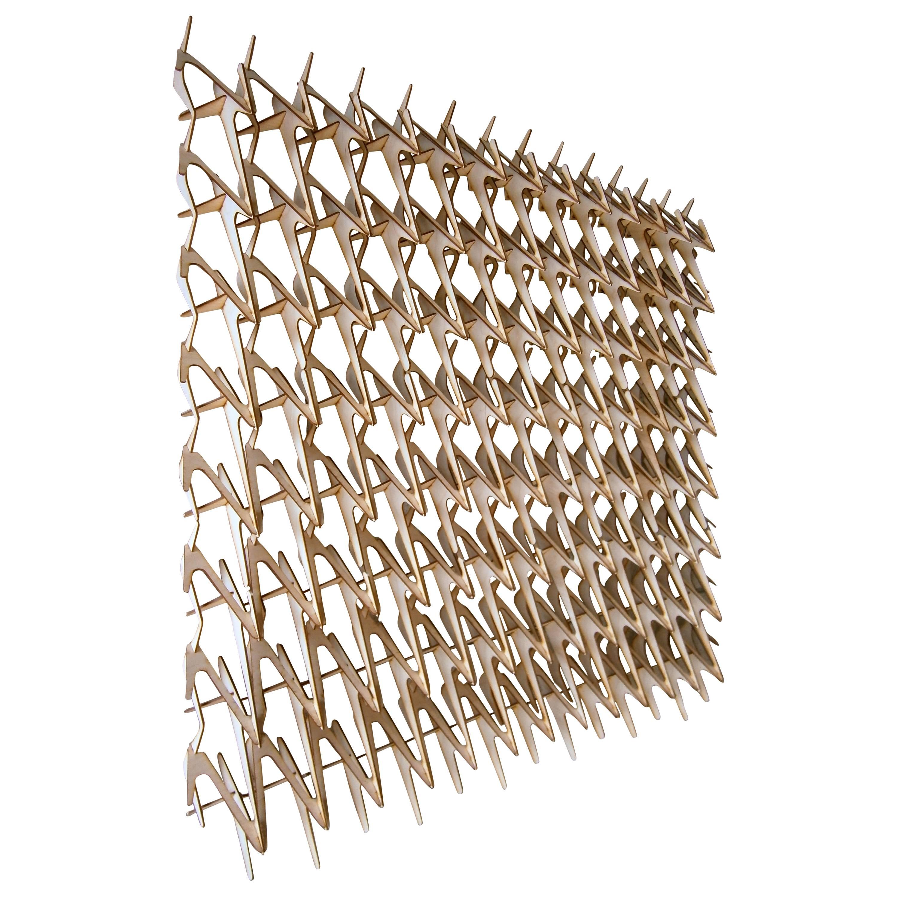 "Placoid" A Laser Cut Birch Plywood Construct By Christopher Puzio C.2012