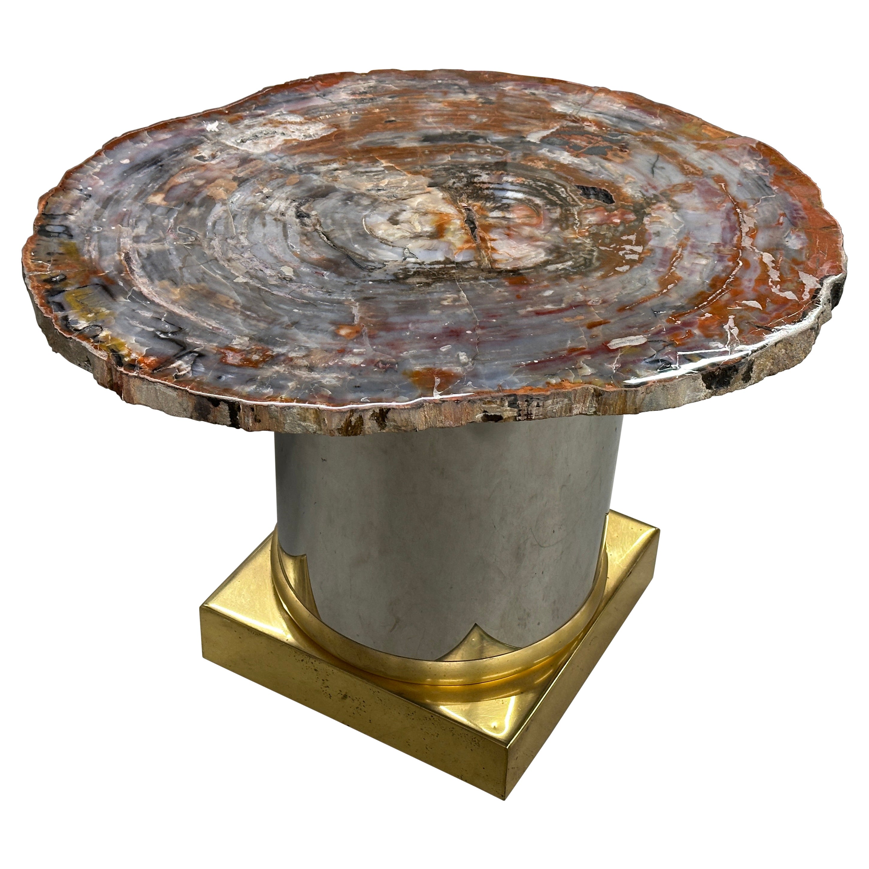Table en dalle de bois pétrifié d'Arizona sur base en laiton et en acier inoxydable en vente