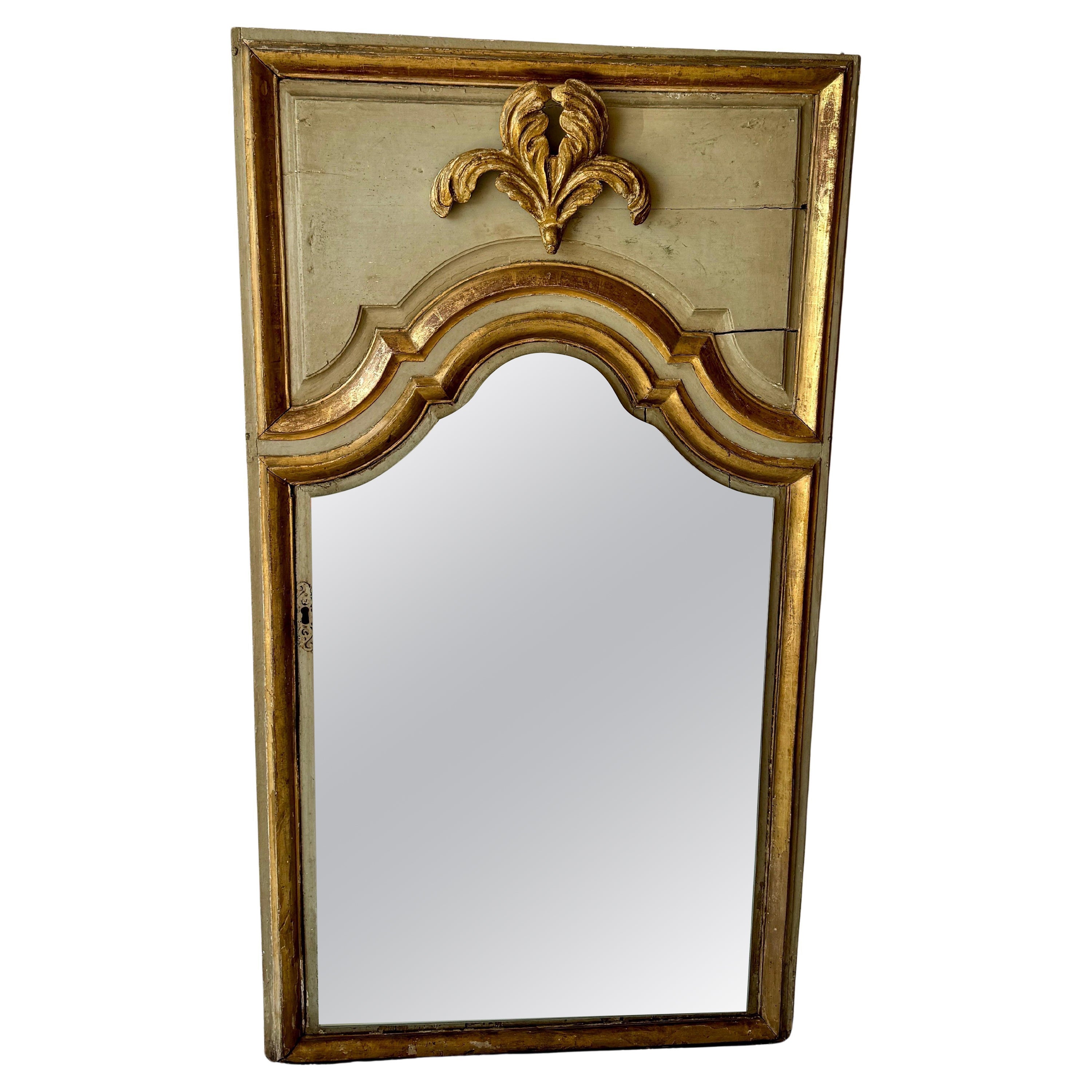 18th Century French Wood Gilt Trumeau Wall Floor Mirror 