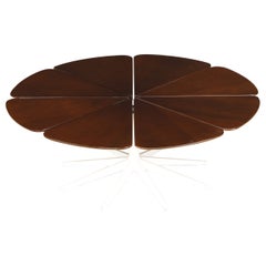 Vintage 'Petal' Coffee Table by Richard Schultz for Knoll Associates, 1960s, Signed