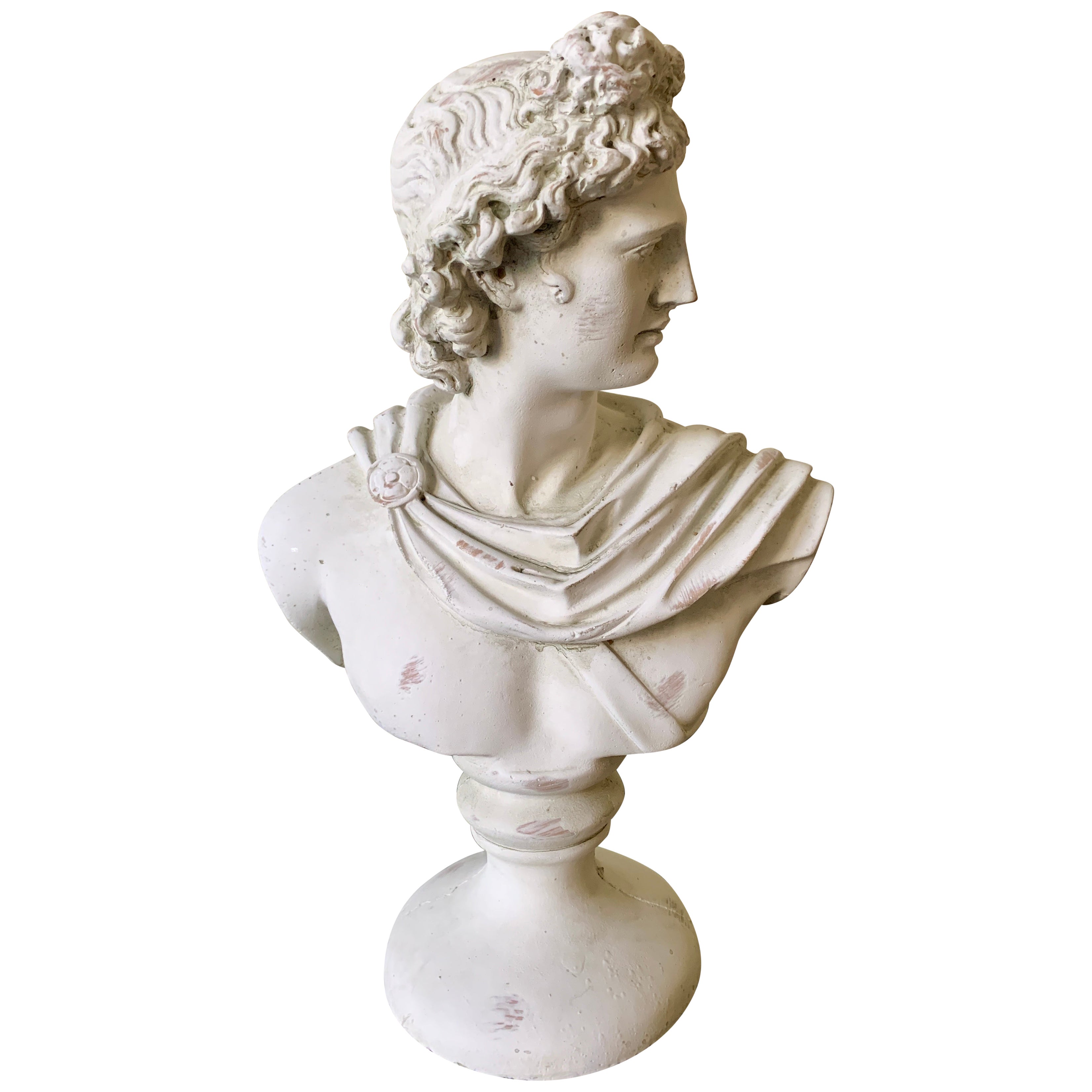 Classical Plaster Bust of Mythological Apollo Belvedere Sculpture For Sale