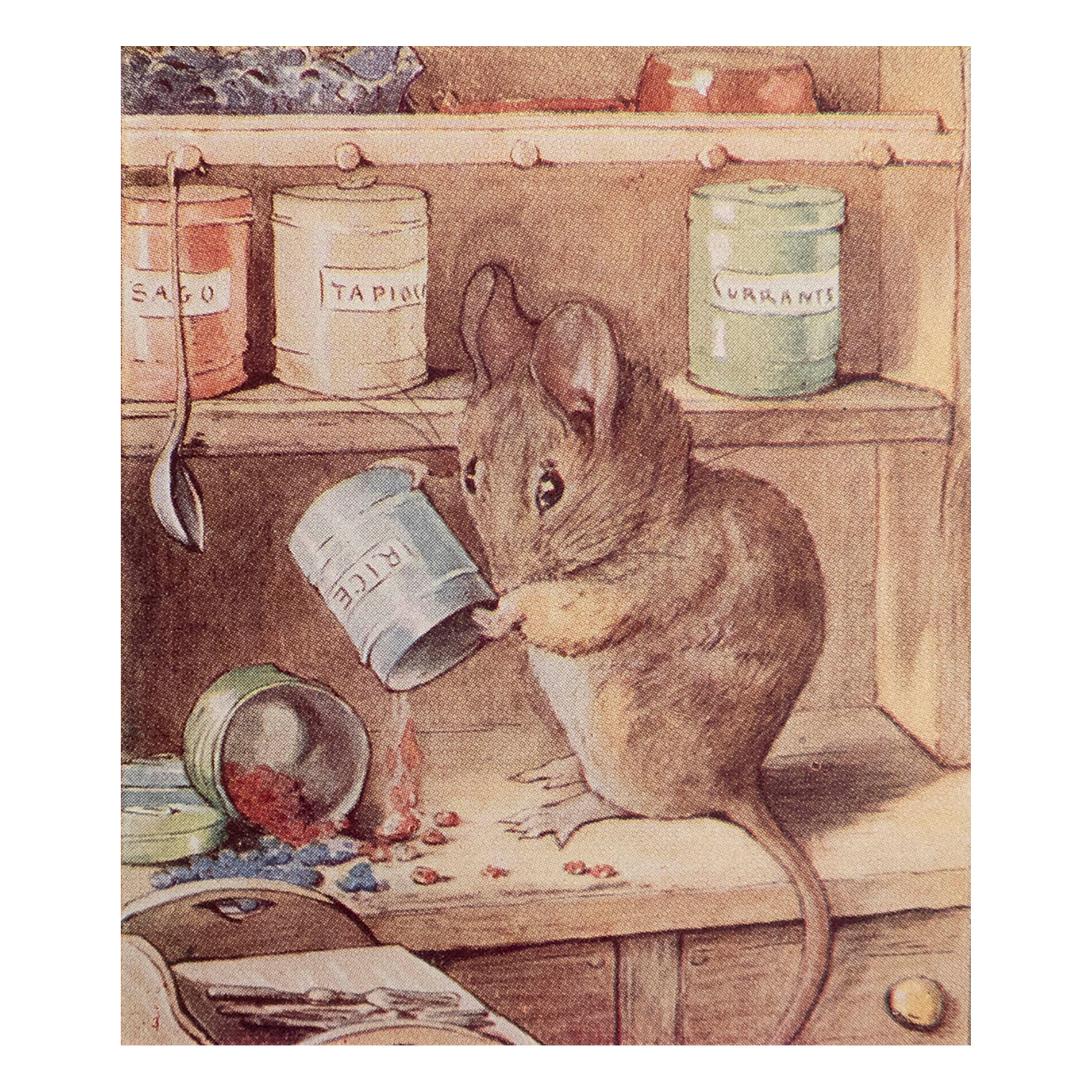 Impression vintage originale de Beatrix Potter. Peter Rabbit et ses amis C.C. 1905 en vente