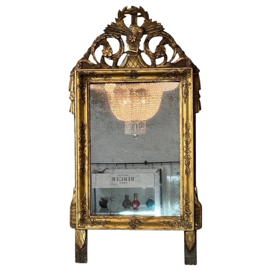 Carved and Gilded French Provincial MIrror, 18th-19th Century For Sale
