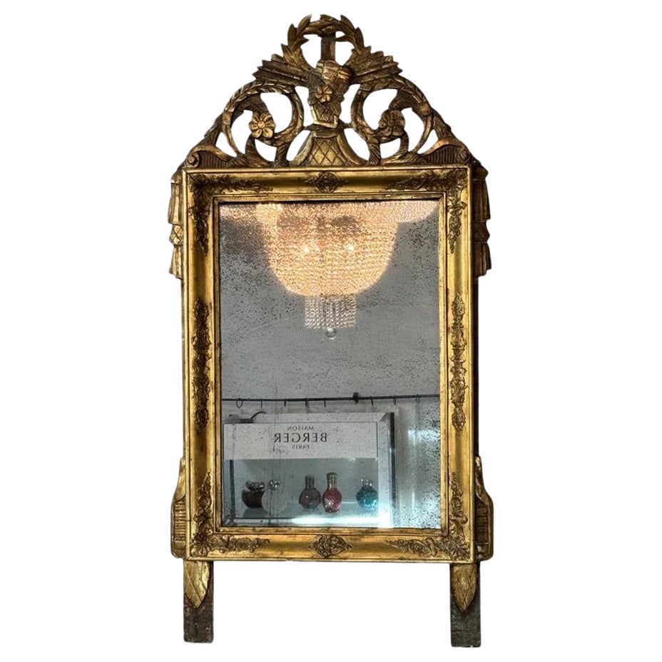 Carved and Gilded French Provincial MIrror, 18th-19th Century