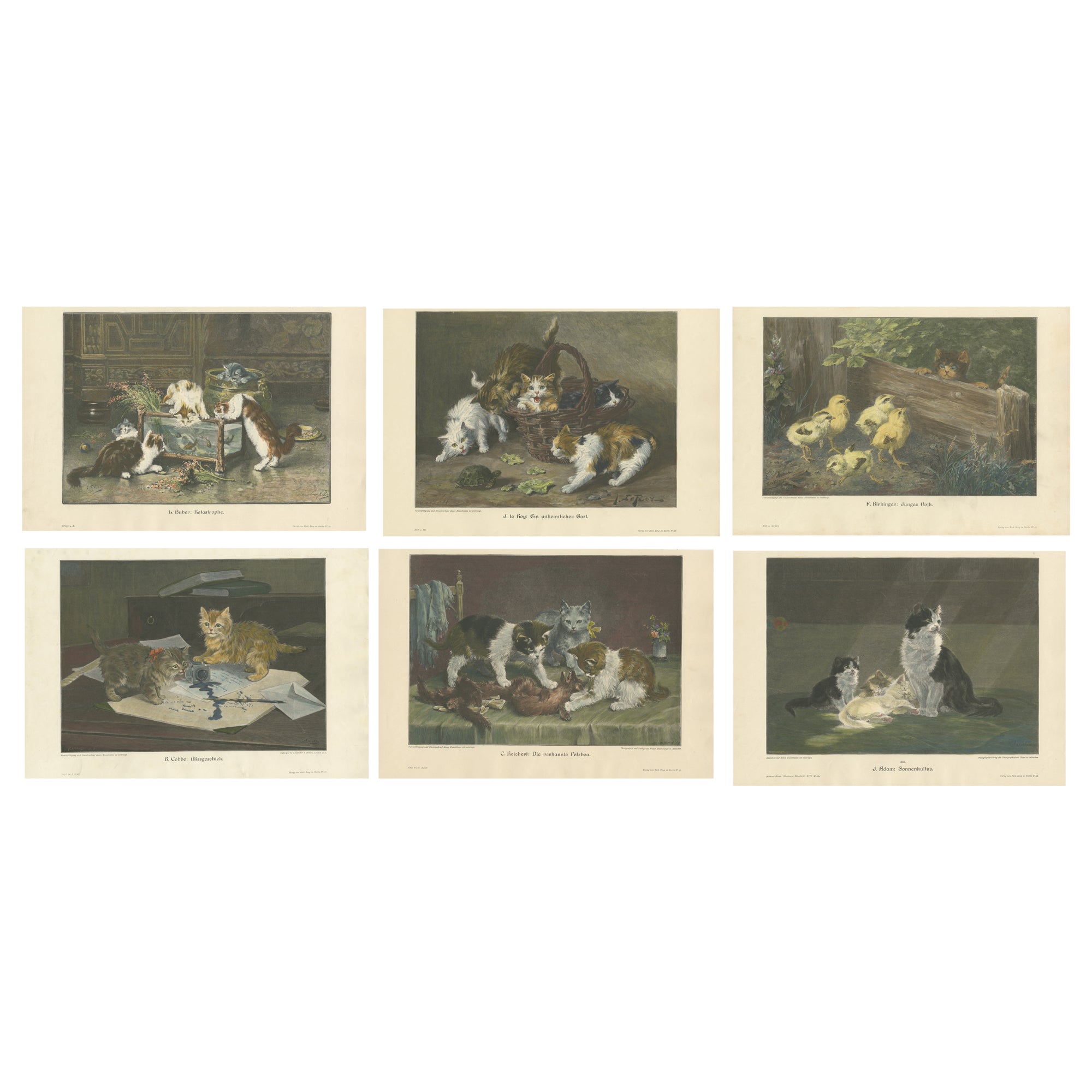Ensemble de 6 gravures anciennes originales de chats d'après des peintures, vers 1898 en vente