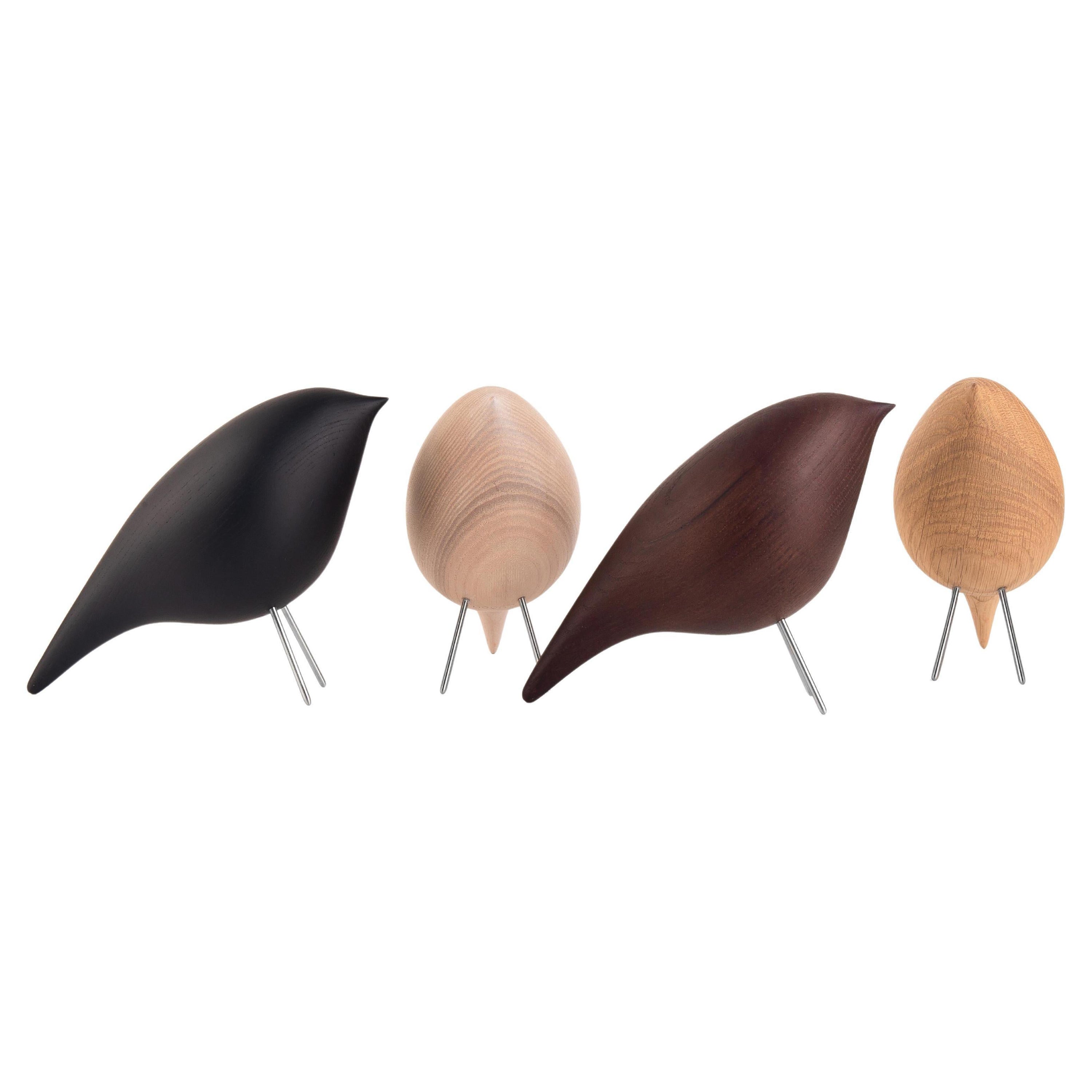 Contemporary Set of 4 Tweety Decorative Birds by Noom, All finishes 