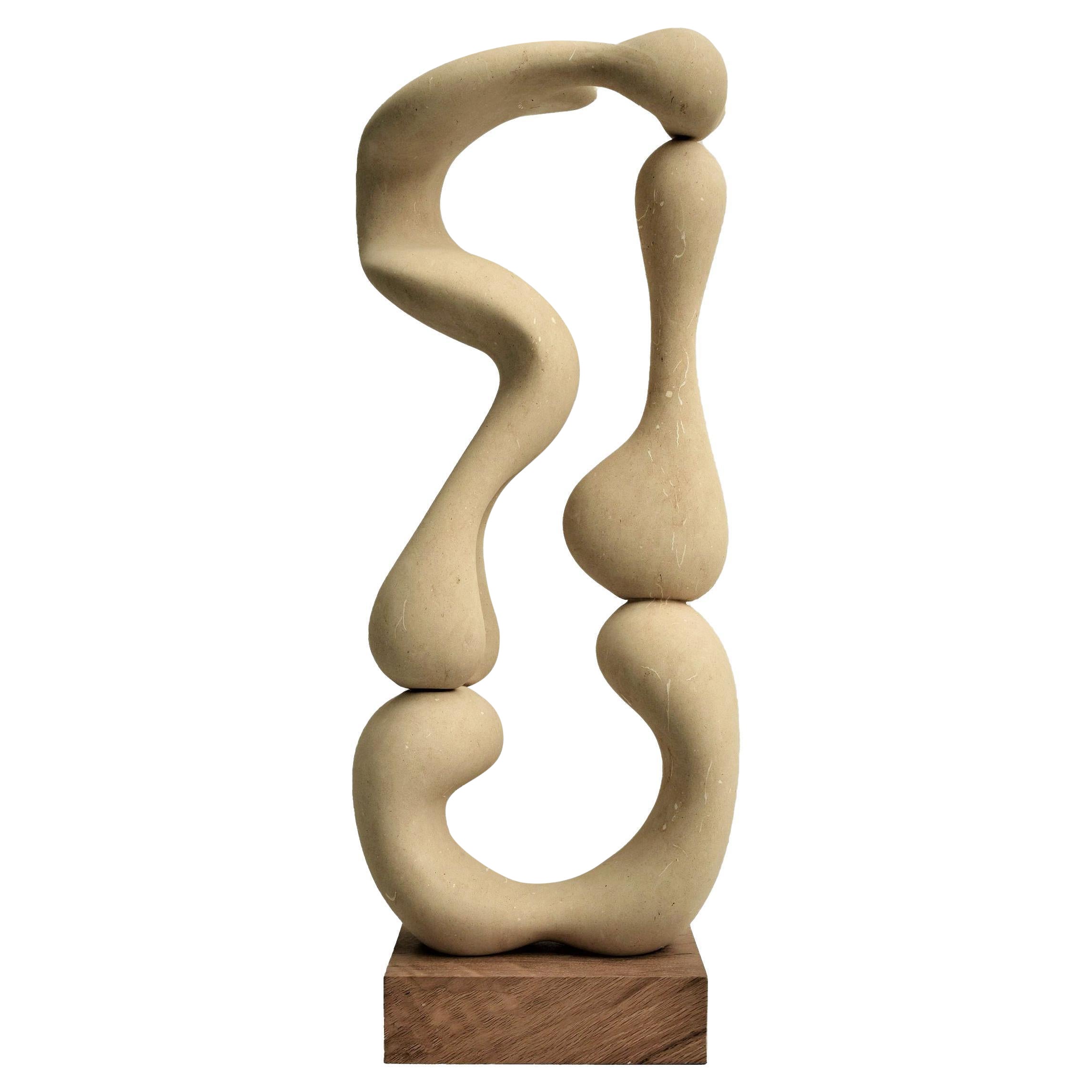 Sculpture abstraite du 21e siècle Cellulae 80 cm de hauteur par Renzo Buttazzo
