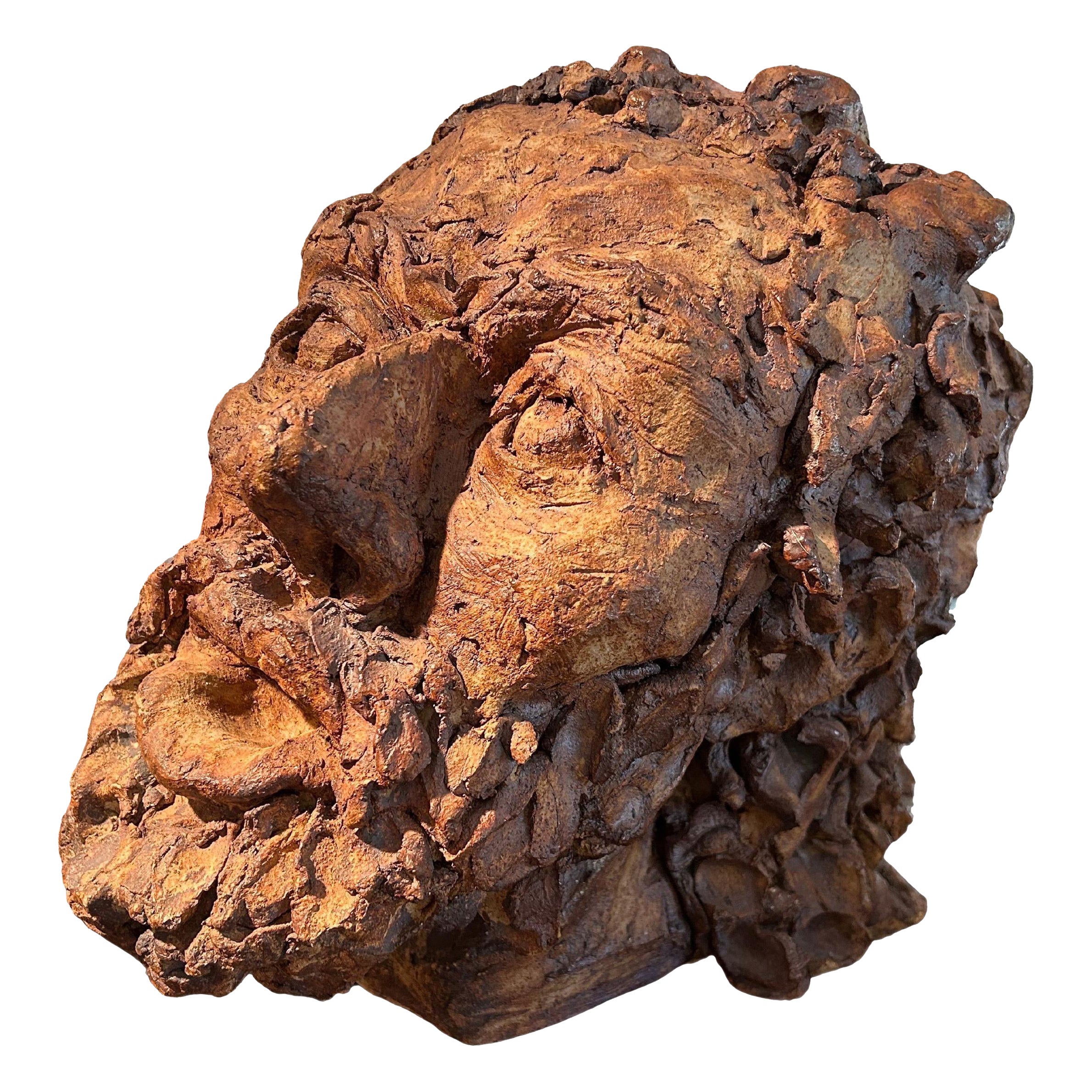 20th Century Terracotta Bust Sculpture Of A Classical Greek