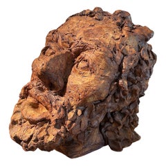 20th Century Terracotta Bust Sculpture Of A Classical Greek