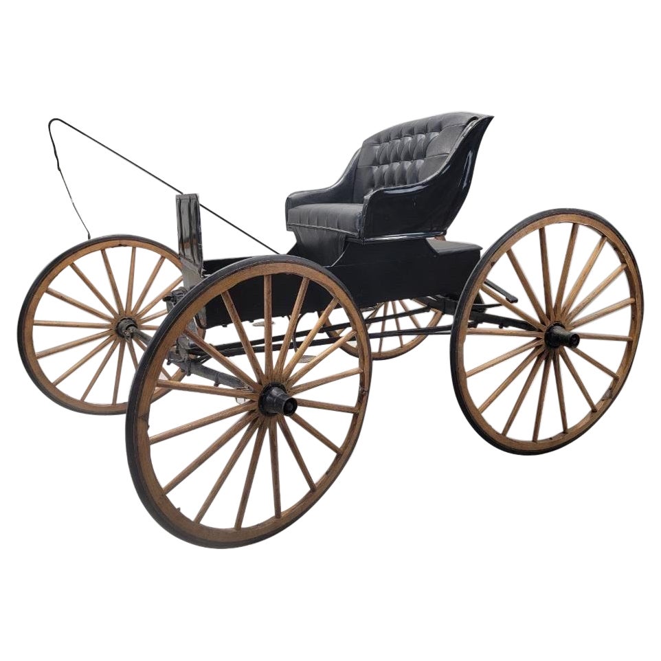 Antique Fully Restored & Functional Horse-Pull Spring Buggy For Sale