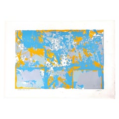 Used "Magnetic Lands" Silkscreen AP#17 by Walter Darby Bannard, 1979 