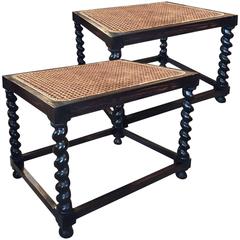 Pair of Anglo-Ceylonese End Tables in Solid Ebony with Hard Cane Covered Top