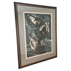 Used Framed Art Print Titled “ Drakes Approaching “ by Suellen Ross