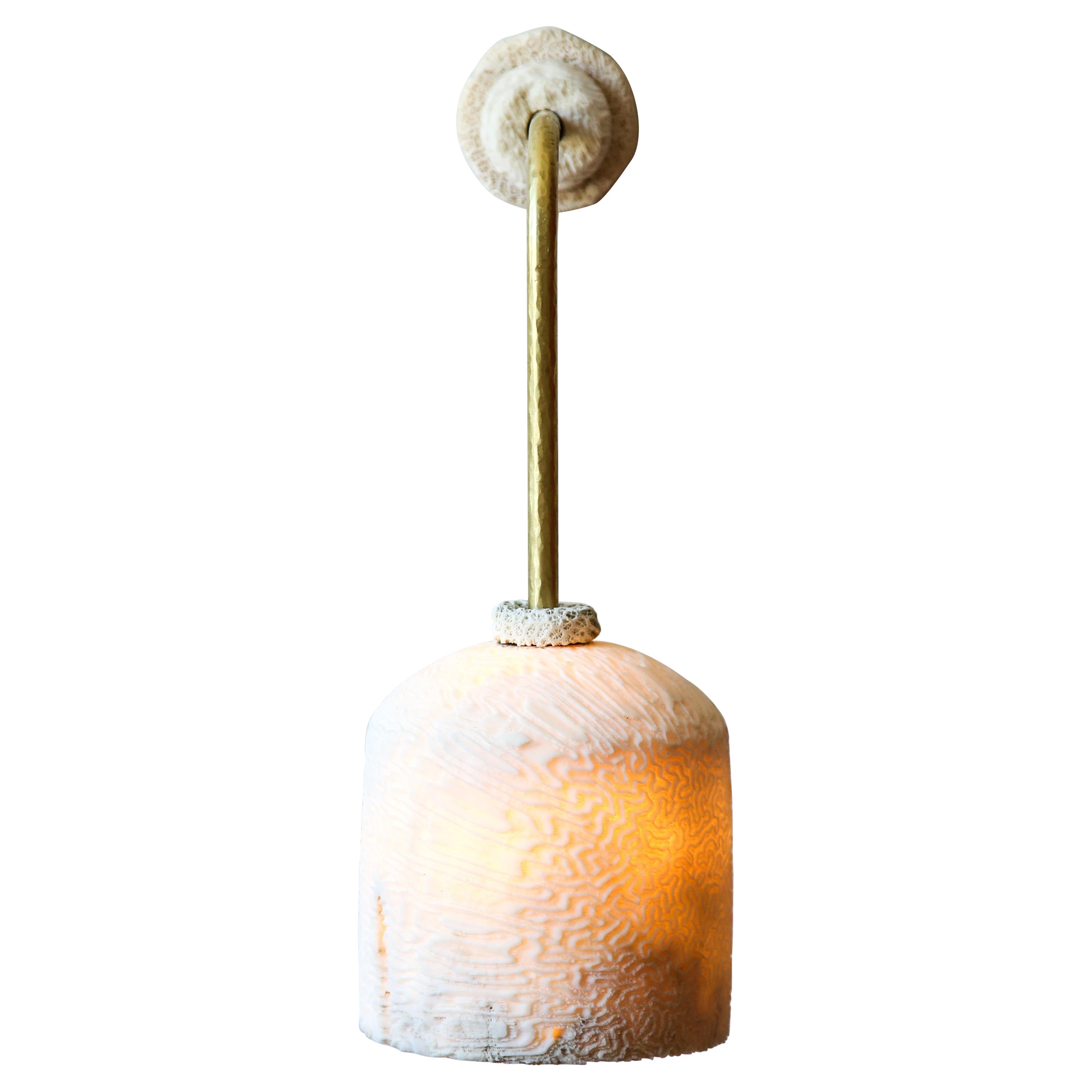 Fossil Coral Wall Light - Dome (L) - Hand-Crafted, Ethical, Chic, Relic  For Sale