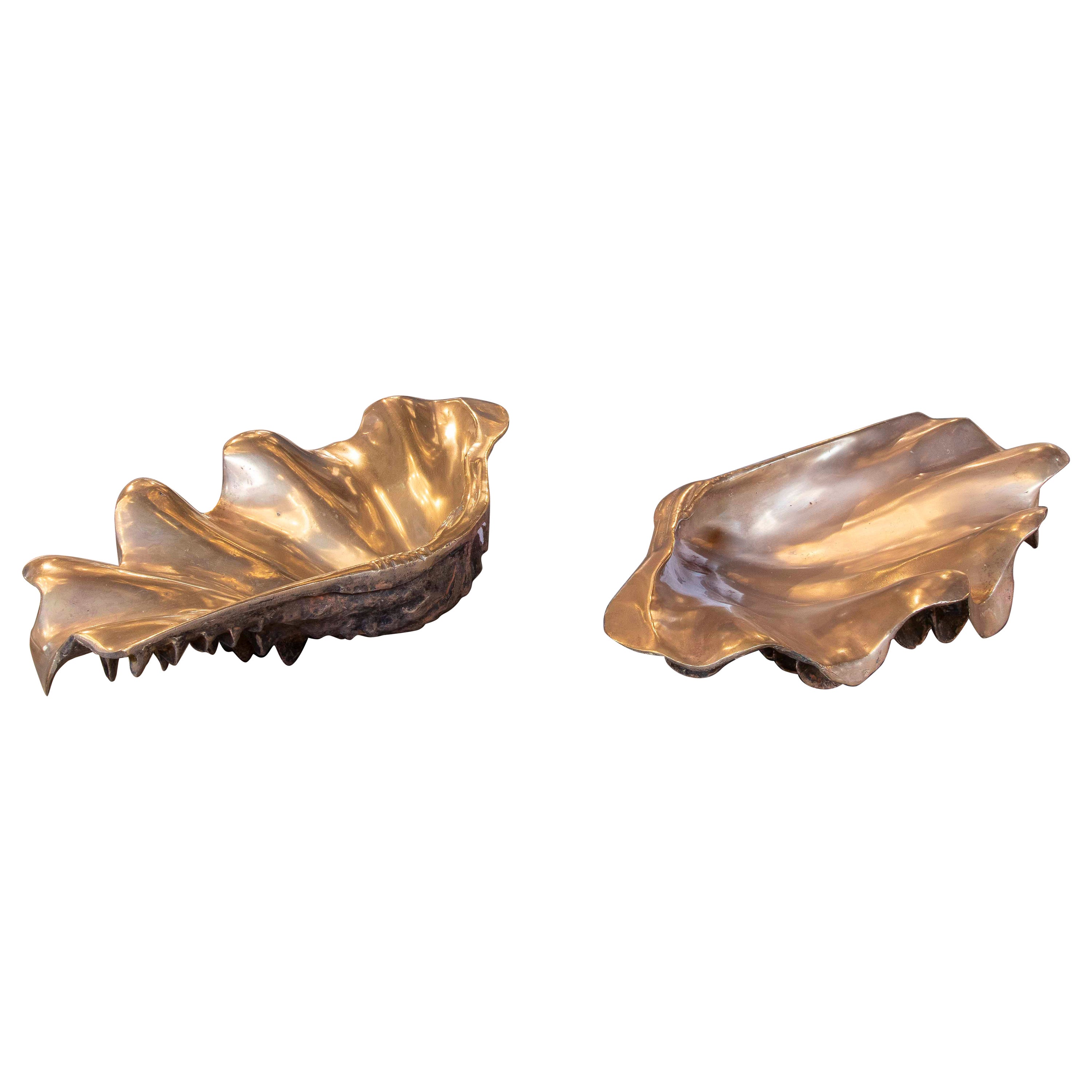 1970s Pair of Two-Tone Bronze Shells 